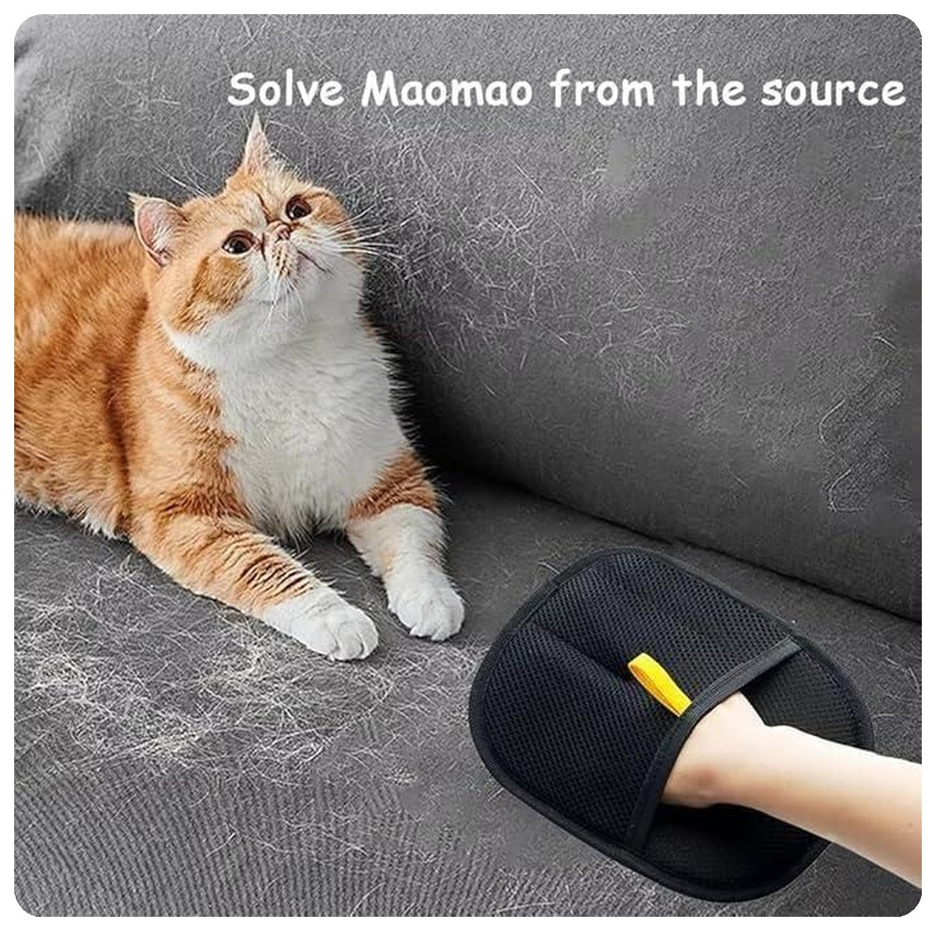 Pet Hair Removal Gloves